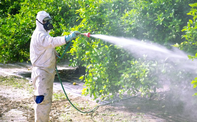 Commercial Fumigation in Long Island, NY